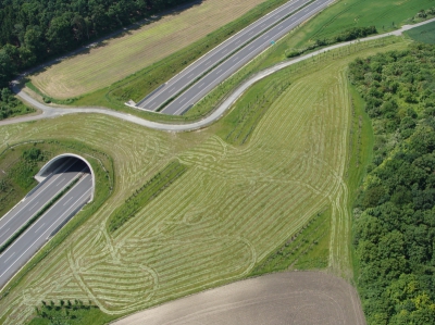 Výsadby na zeleném mostě přes dálnici D 11 v katastrálním území Žehuň.jpg