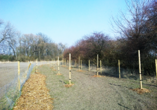 Lokální biokoridor LBK 10.png