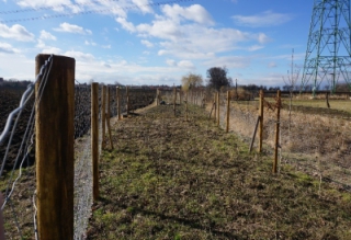 Lokální biokoridor LBK 1.jpg