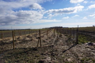 Lokální biokoridor LBK 3.jpg