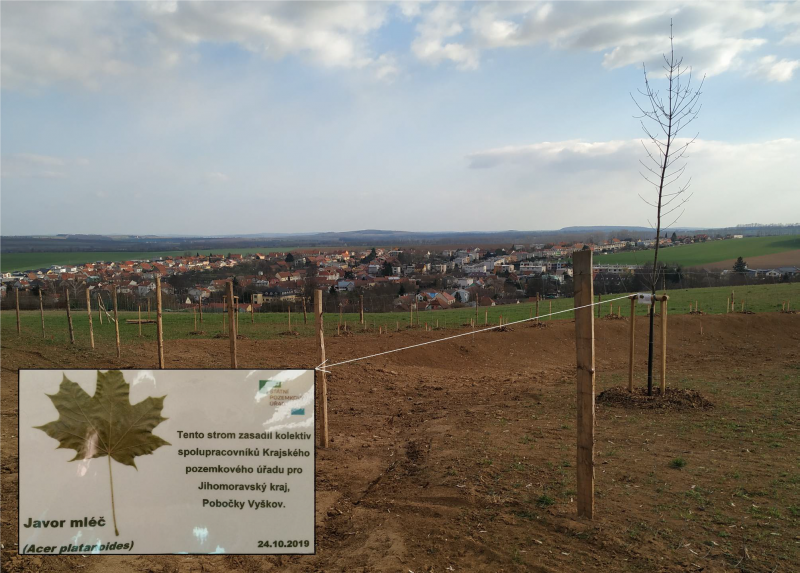 Strom s tabulkou.png