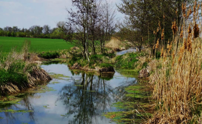 Koryto Lidušky po revitalizaci.png