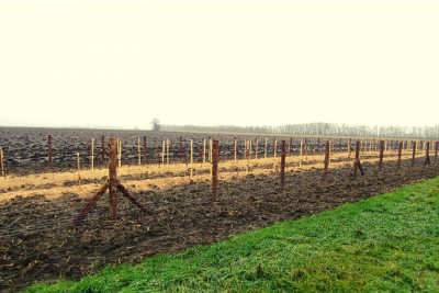 Větrolam VN2 v k.ú. Dyjákovice.png