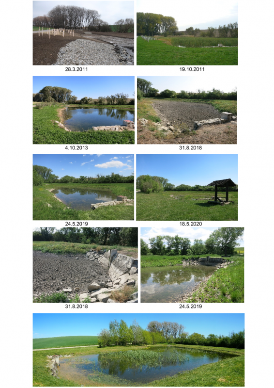 Šardičky - Kojátky 2011 - 2021