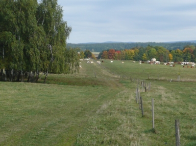 1. stav před realizací