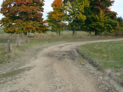 5. stav před realizací