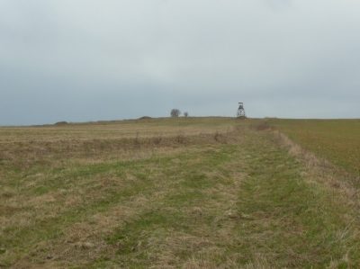 7. stav před realizací