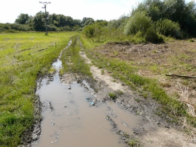 obr. 1 - polní cesta K Mušlovu - před realizací