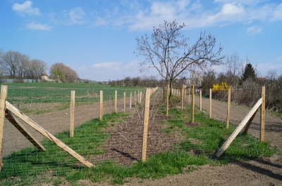 obr. 6 - biokoridor - k. ú. Mikulov