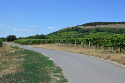 obr. 4 - polní cesta Pod Svatým kopečkem - po realizaci