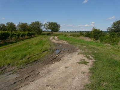 obr. 3 - polní cesta Pod Svatým kopečkem - před realizací