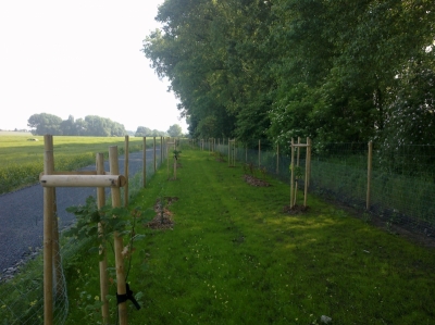 obr. 6 - po realizaci