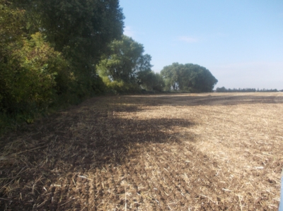 obr. 2 - před realizací