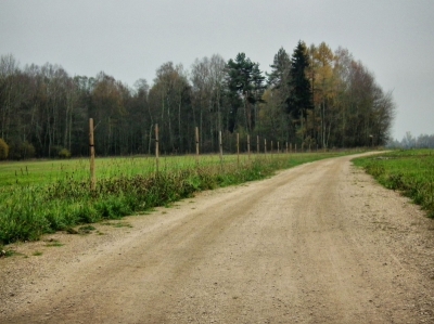 Výsadba doprovodné zeleně u HPC 2