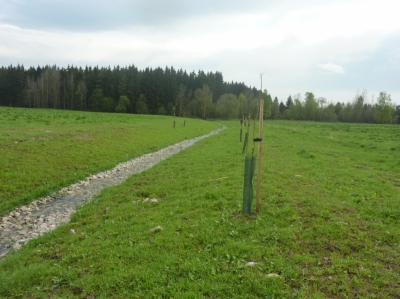 obr. 5 - Biokoridor LBK 2B – stav po realizaci