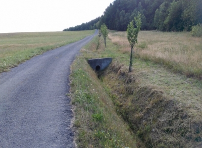 obr. 4 - U Lipůvky - dnešní stav (srpen 2015)