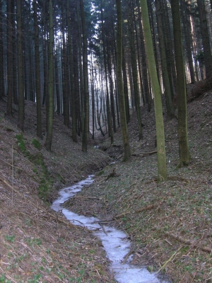 Strž před realizací