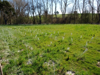 5: Severní část biokoridoru LBK4