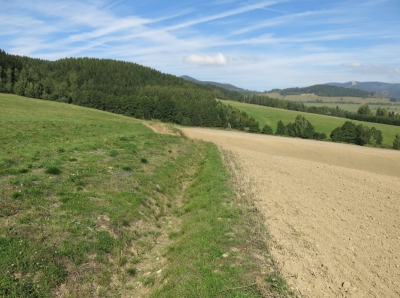 Ústí nad Orlicí 2