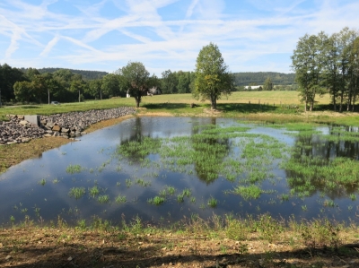 Ústí nad Orlicí 3