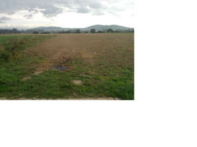 Okres Sumperk_Obec Postrelmov_stav pred stavbou