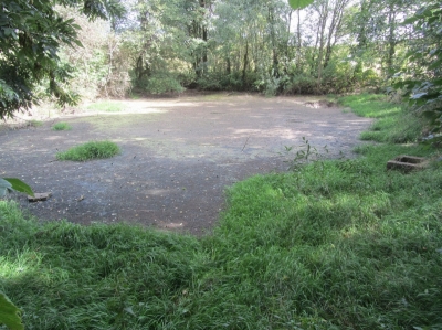 Sedimentační nádrž - zanesená s poškozenou hrází