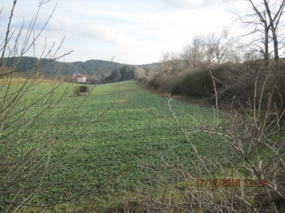 terén před realizací cesty