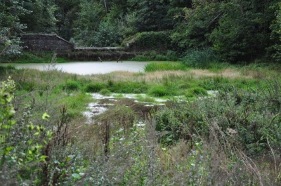 Vybudovaný objekt na toku - přehrážka