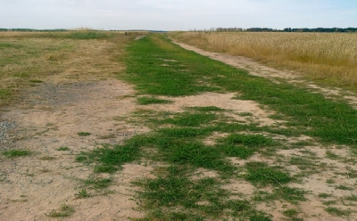 Před realizací Chlum