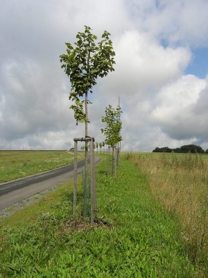 Senetářov BK Interakční prvek IP 07 zm