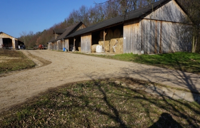 Cesta po 5 letech užívání_ 2018_1