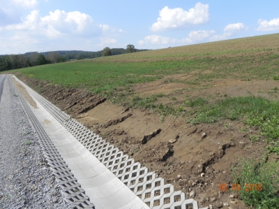 Polní cestak v k.ú. Kojčice 6