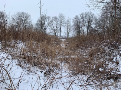 stoletý závlahový systém by rádi využili ornitologové