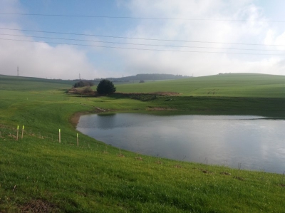 Pančava se účastní soutěže Žít krajinou