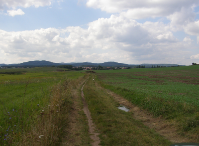 Polní cesta HPC 3R v k. ú. Vroutek před realizací     