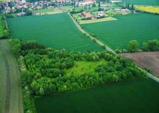 Obr. 1. Letecký snímek biocentra 2 BC-2 z roku 2017
