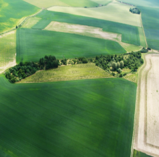 Obr. 5. Letecký snímek ŽP 1