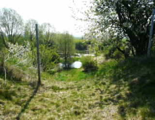 Obr. 6. Ošetřená těžební jáma s tůněmi