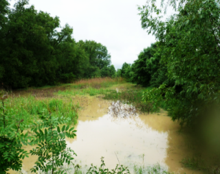 Obr. 8. Poldr po přívalovém dešti