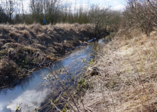 Obr. 2. Vodní prvek v 2 BC-2 – Velenický potok 2018