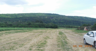 stav před realizací_polní cesta C19