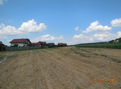 stav před realizací_polní cesta C20 a záchytný příkop ZP