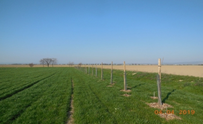 založený TTP a vysazeý IP