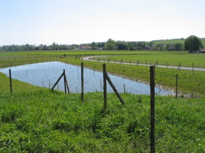 Skřípov mokřad v roce 2005 