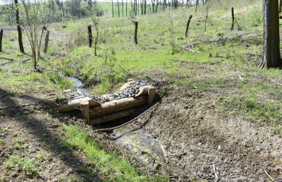 Srubová přehrážka v lesním porostu