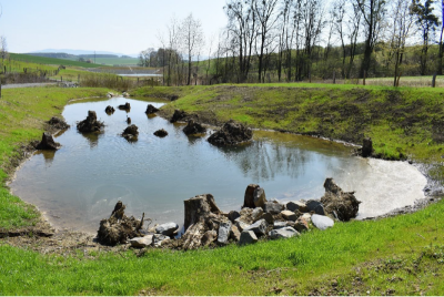 Pohled na vodní tůň ze severozápadu