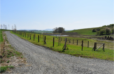 Pohled na vedlejší polní cestu P15 s interakčním prvkem IP67 ze západu