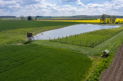 Biocentrum Na Mlakách (Královehradecký kraj) - po realizaci