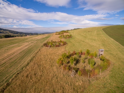 Biokoridor Lichkov (Pardubický kraj) - po realizaci