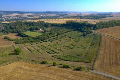 Biocentrum Kroužek (Jihomoravský kraj) - po realizaci